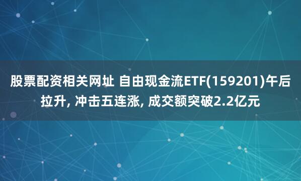 股票配资相关网址 自由现金流ETF(159201)午后拉升, 冲击五连涨, 成交额突破2.2亿元