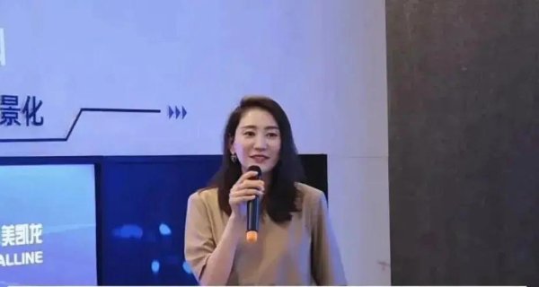 个人场外配资 家具龙头红星美凯龙前美女高管虚增服务费套现500万被抓，总经理车建新如今也被拘留