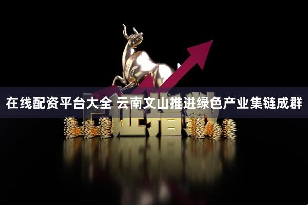 在线配资平台大全 云南文山推进绿色产业集链成群