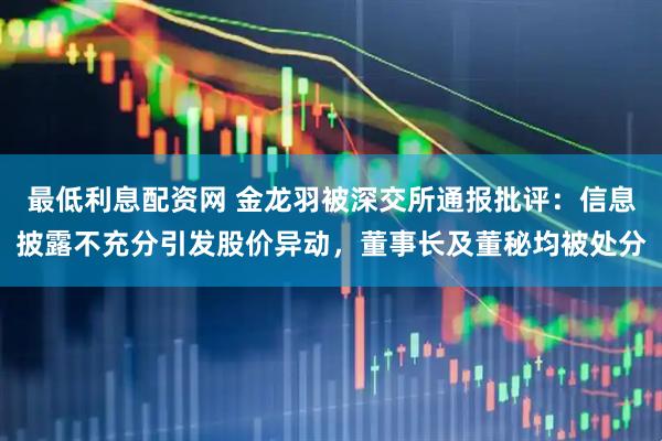 最低利息配资网 金龙羽被深交所通报批评：信息披露不充分引发股价异动，董事长及董秘均被处分